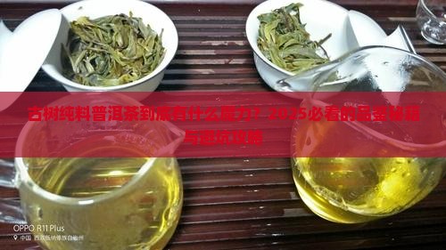 古树纯料普洱茶特点