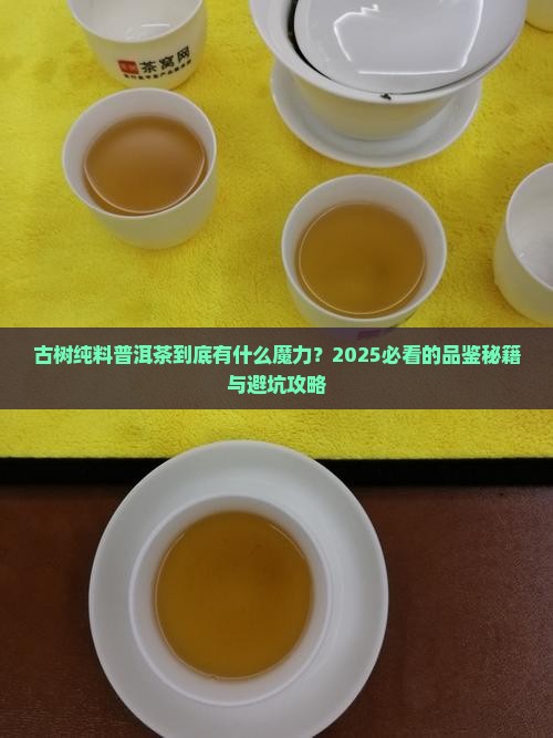 古树纯料普洱茶特点