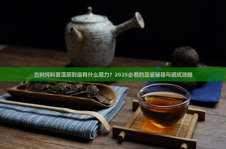 古树纯料普洱茶特点