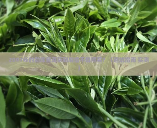勐库普洱茶2007年的