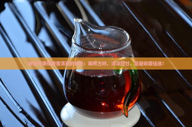 新益号薄荷塘普洱茶的特点