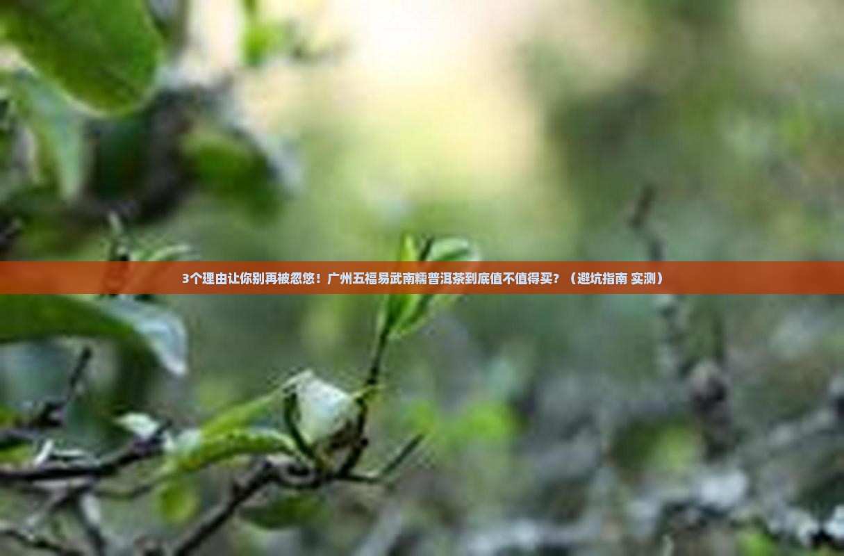 广州五福易武南糯普洱茶