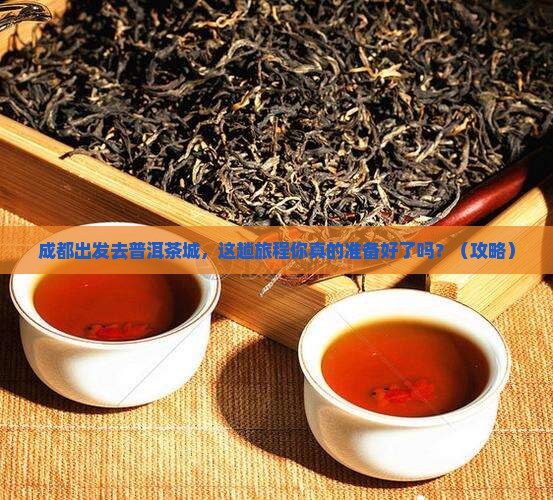 成都到普洱茶城