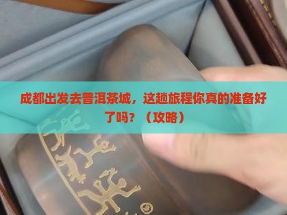 成都到普洱茶城