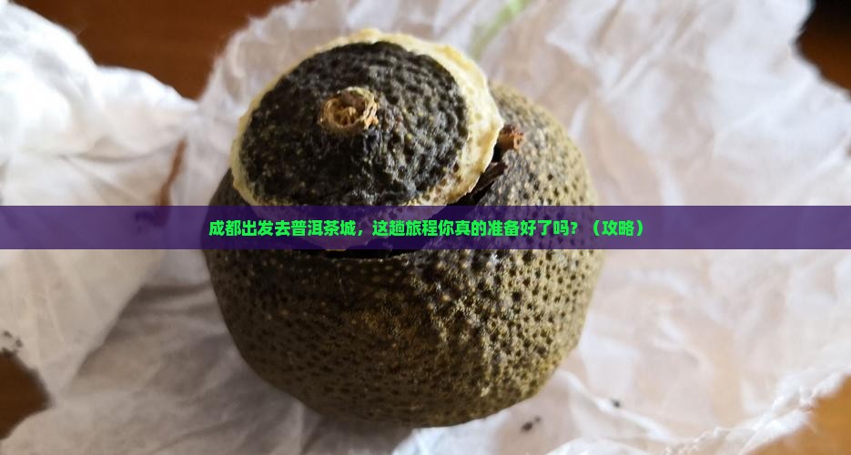 成都到普洱茶城
