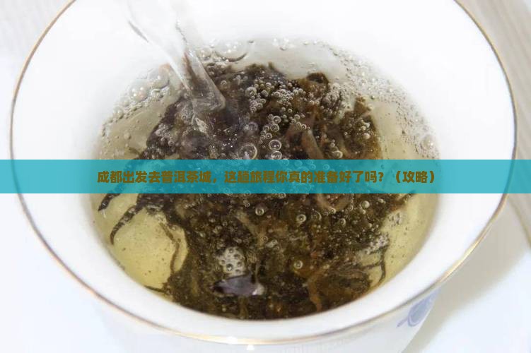 成都到普洱茶城