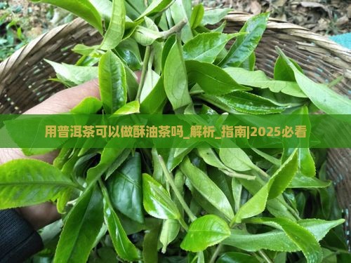 用普洱茶可以做酥油茶吗