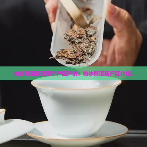 帕沙普洱茶是哪个产区产的