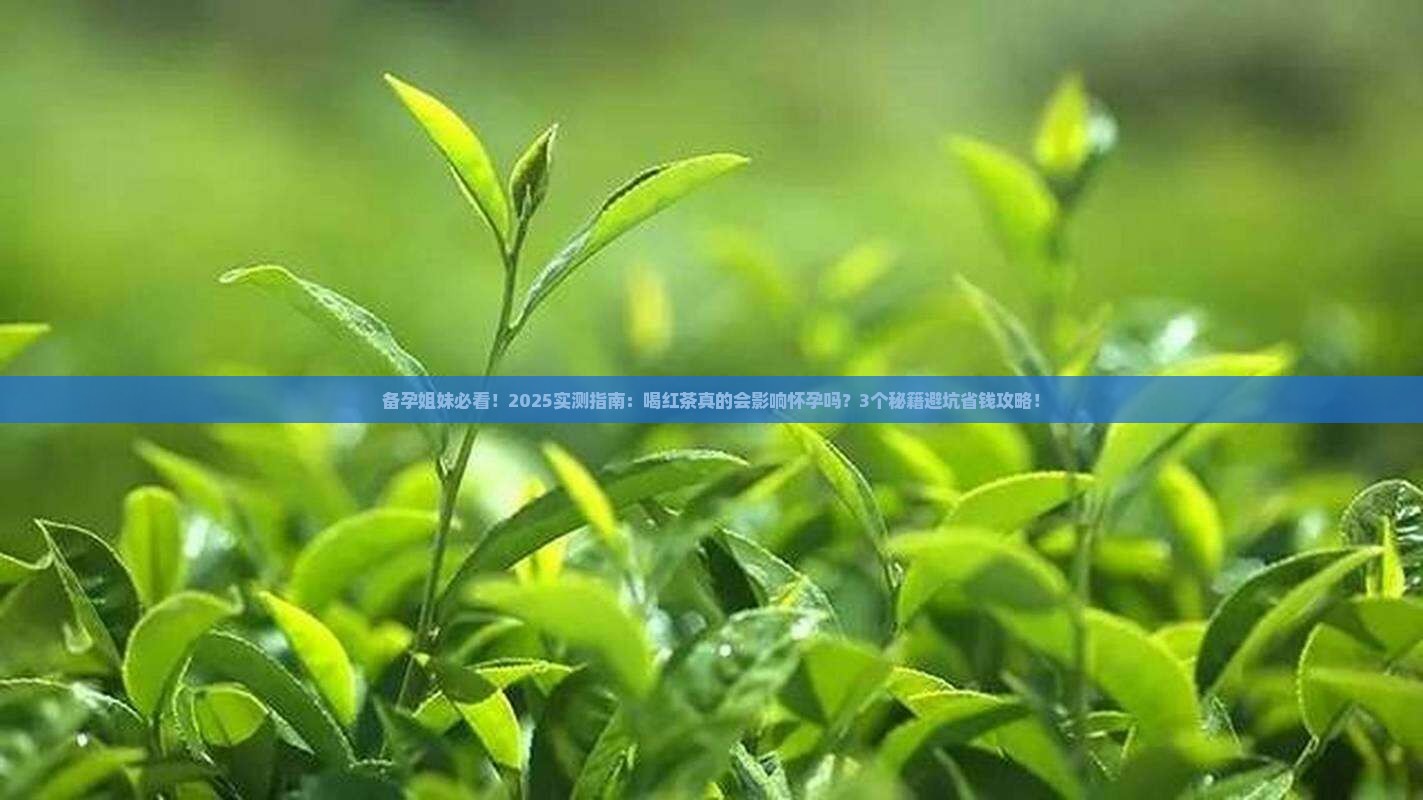 备孕期间可以喝红茶吗女性