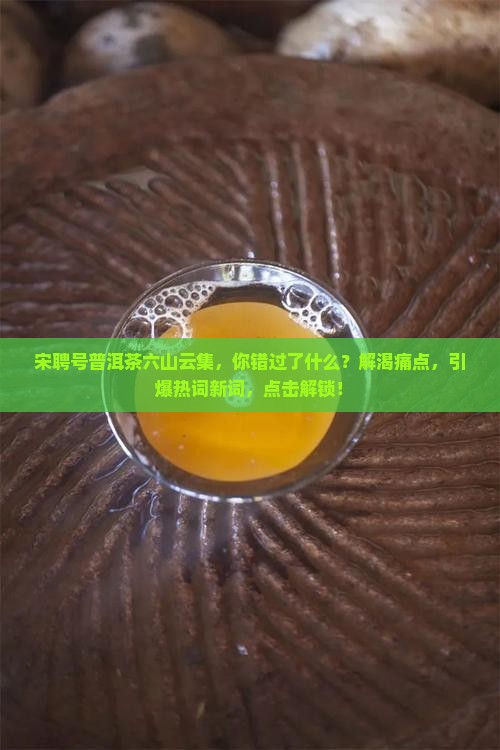 宋聘号普洱茶六山云集