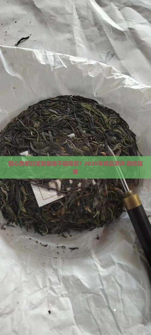 厨心熟茶红龙价格