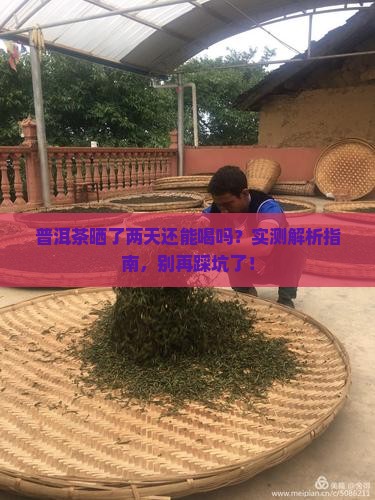 普洱茶晒了两天能喝吗为什么