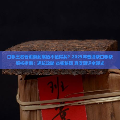 口粮王者普洱茶