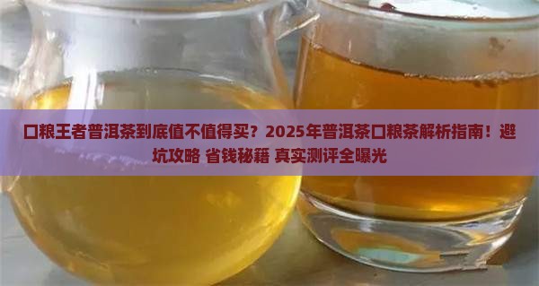 口粮王者普洱茶