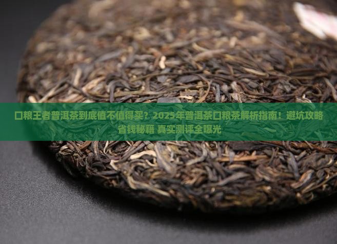 口粮王者普洱茶