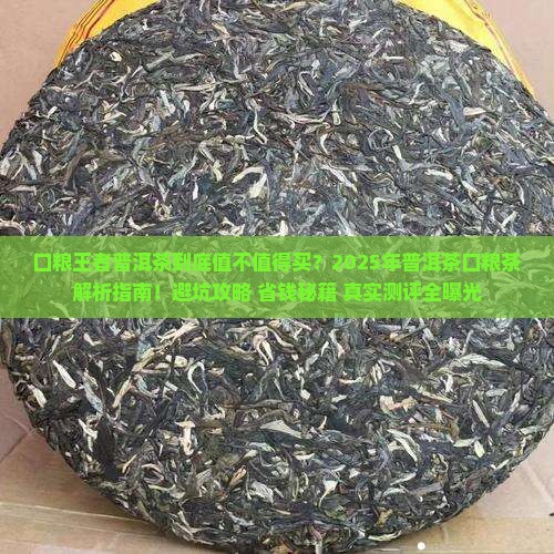 口粮王者普洱茶