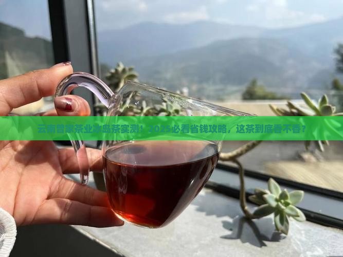 云南曾家茶业冰岛茶