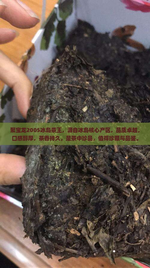 聚宝龙2005冰岛茶王