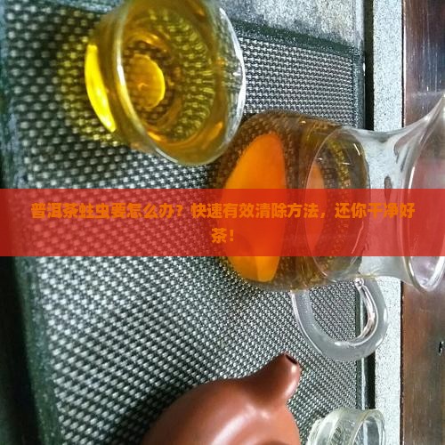 普洱茶蛀虫要怎么办