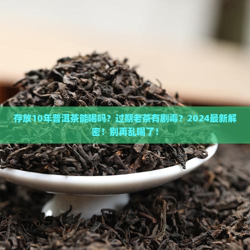 存放10年普洱茶能喝吗