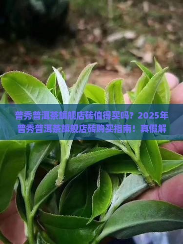 普秀普洱茶官方旗舰店砖
