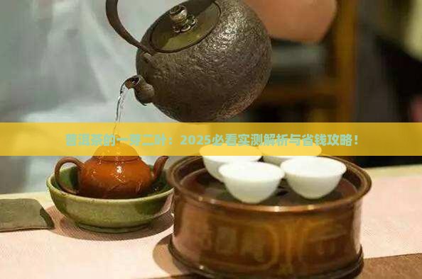普洱茶的一芽二叶