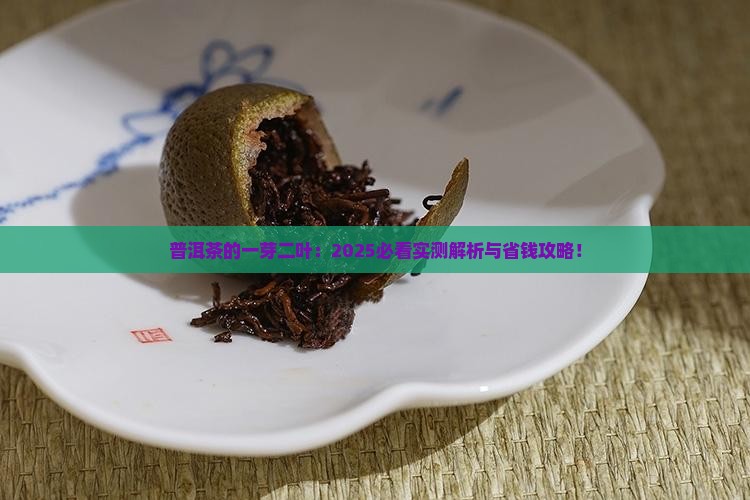 普洱茶的一芽二叶