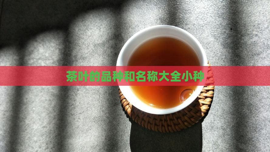 茶叶的品种和名称大全小种