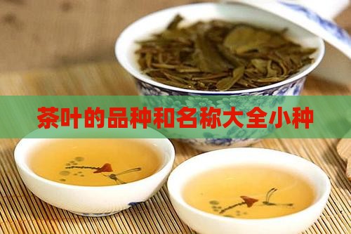 茶叶的品种和名称大全小种
