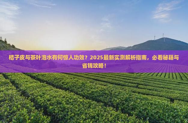 桔子皮与茶叶泡有什么功效