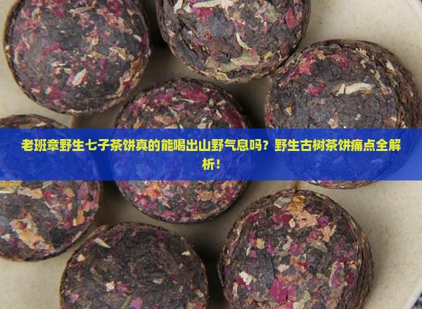 老班章野生七子茶饼