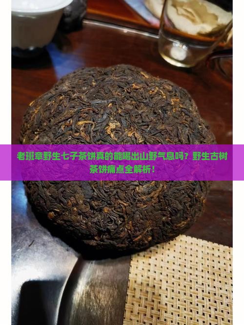 老班章野生七子茶饼