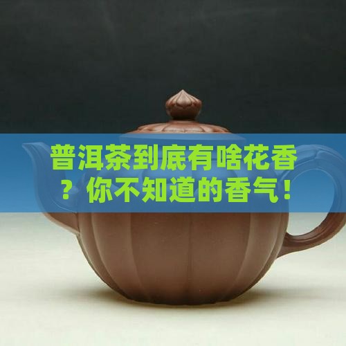 普洱茶是什么花香味道的