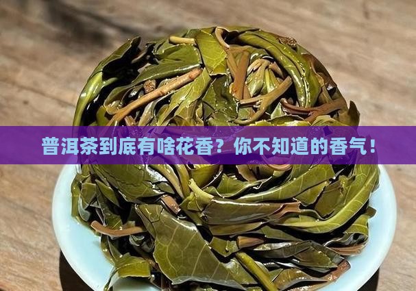 普洱茶是什么花香味道的