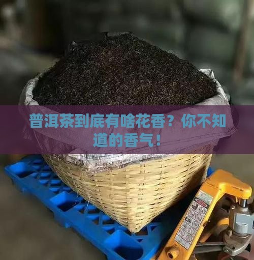 普洱茶是什么花香味道的