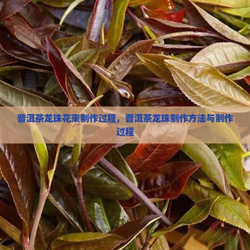 普洱茶龙珠花束制作过程