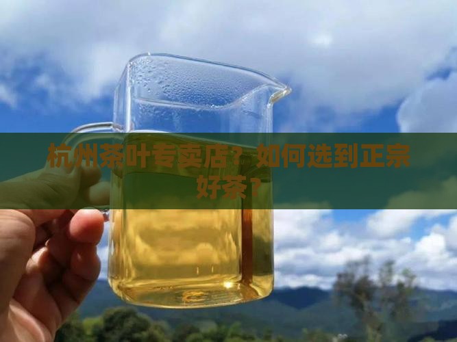 杭州茶叶专卖店品牌