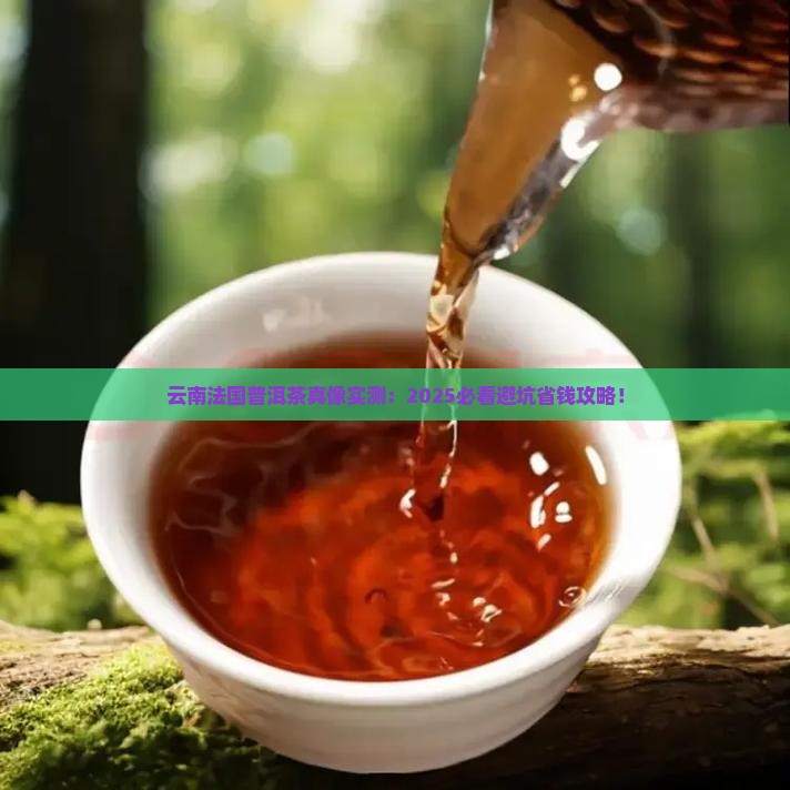 云南法国普洱茶