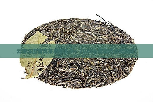 云南法国普洱茶