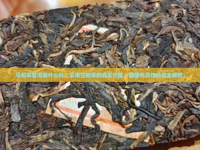 马帮来普洱茶什么价