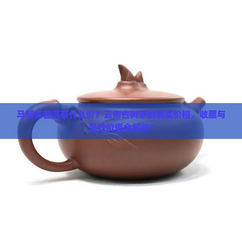 马帮来普洱茶什么价