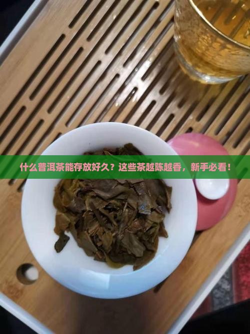 什么普洱茶能存放好久