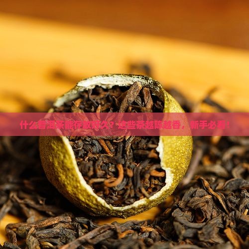 什么普洱茶能存放好久
