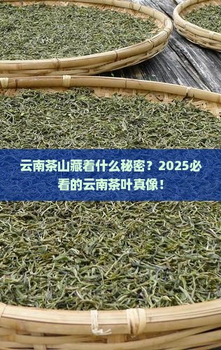 云南著名茶山云南最有名的茶叶名
