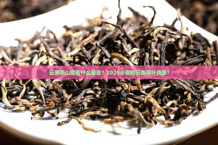 云南著名茶山云南最有名的茶叶名