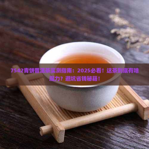 7542青饼普洱茶