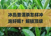 冰岛普洱茶怎样冲泡好喝