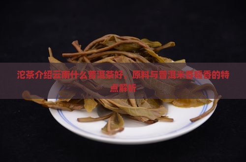糯香沱茶介绍云南什么普洱茶好
