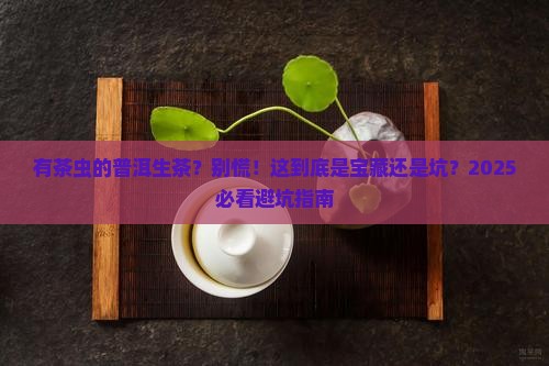 有茶虫的普洱生茶