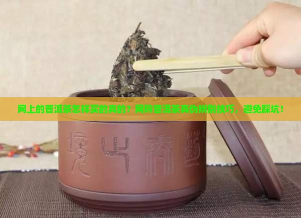 网上的普洱茶怎样买的真的
